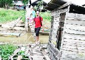 Foto: Cilts sievietes un saldūdens delfīnu meklējumi Borneo